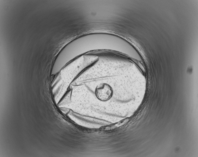 X0000116880385201001121327
