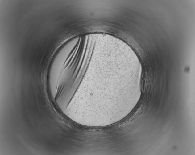 X0000116880386201001121327
