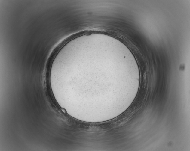 X0000116880388201001121327