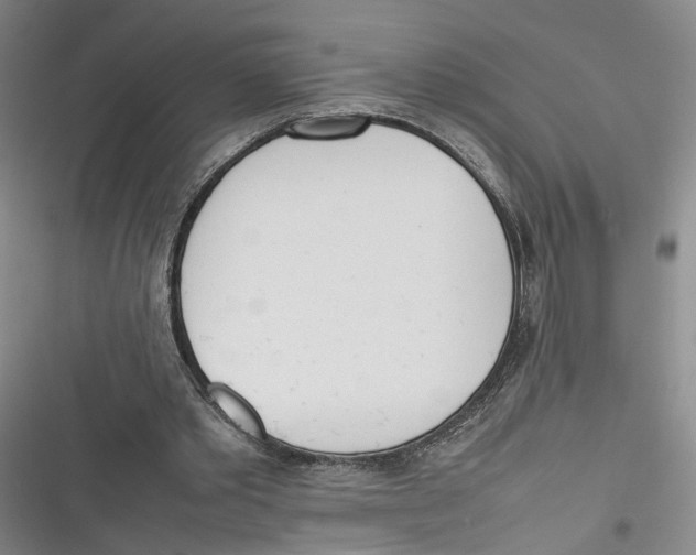 X0000116880389201001121327