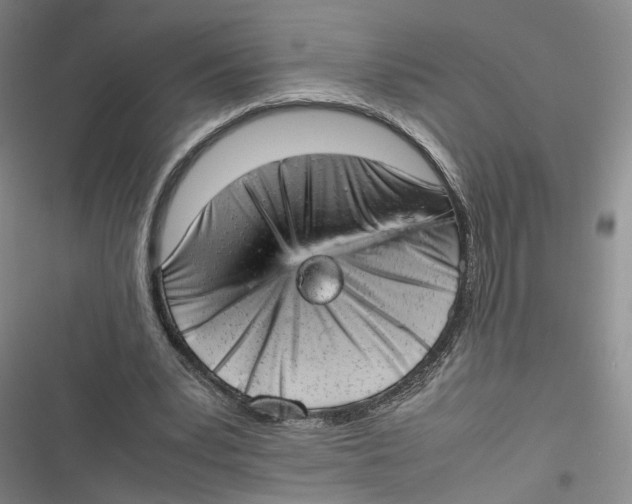 X0000116880391201001121327