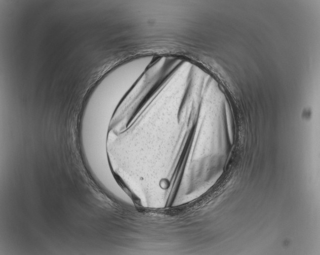 X0000116880393201001121327