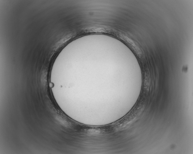 X0000116880394201001121327