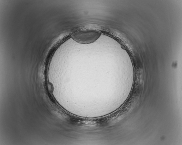 X0000116880395201001121327