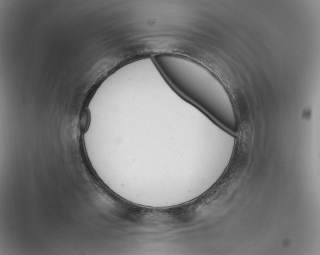 X0000116880397201001121327