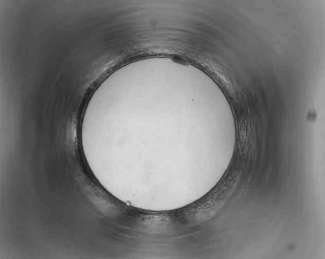 X0000116880398201001121327