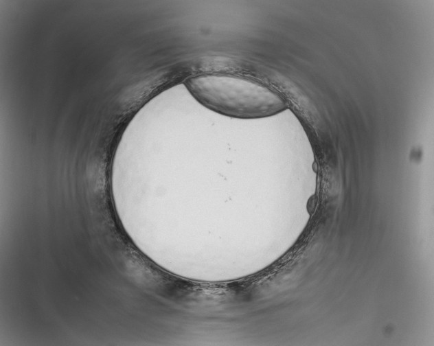 X0000116880401201001121327