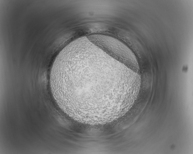 X0000116880405201001121327