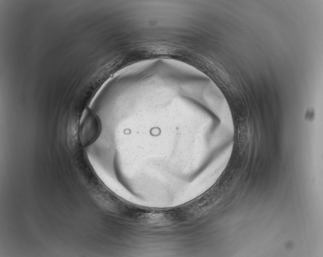 X0000116880406201001121327
