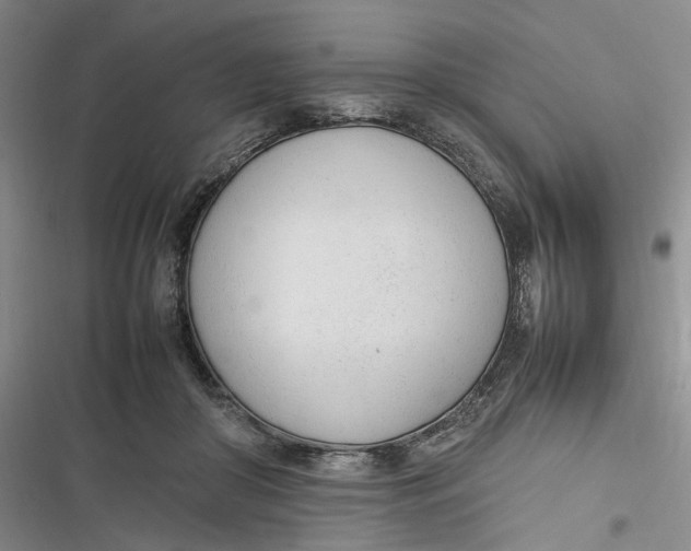 X0000116880410201001121327
