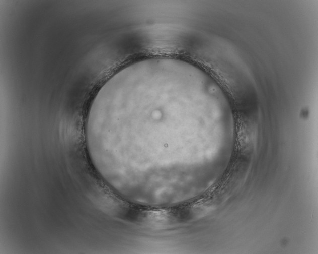 X0000116880411201001121327