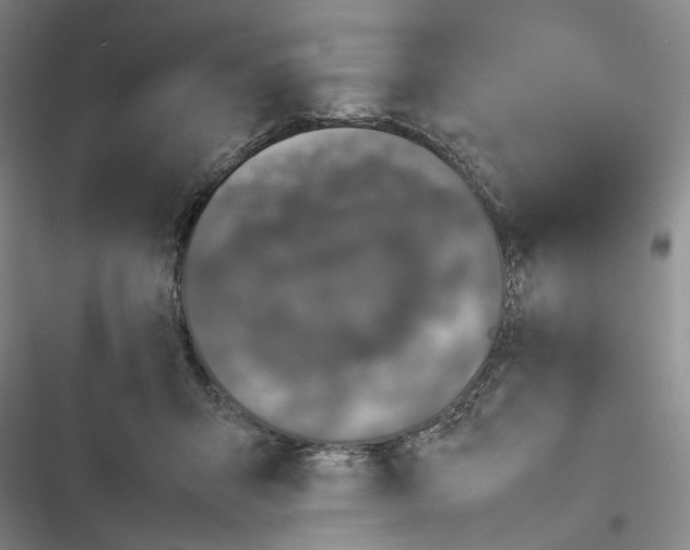 X0000116880415201001121326