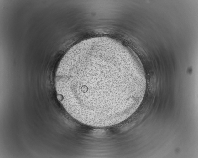 X0000116880418201001121326