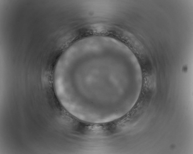 X0000116880419201001121326
