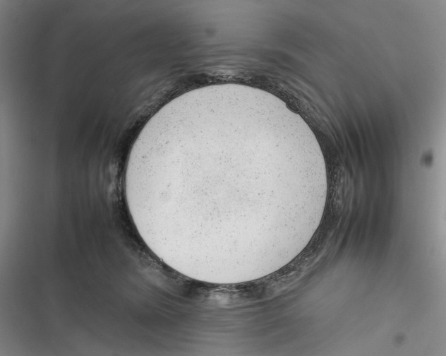 X0000116880420201001121326