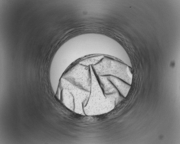X0000116880421201001121326