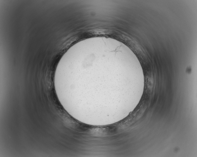 X0000116880422201001121326