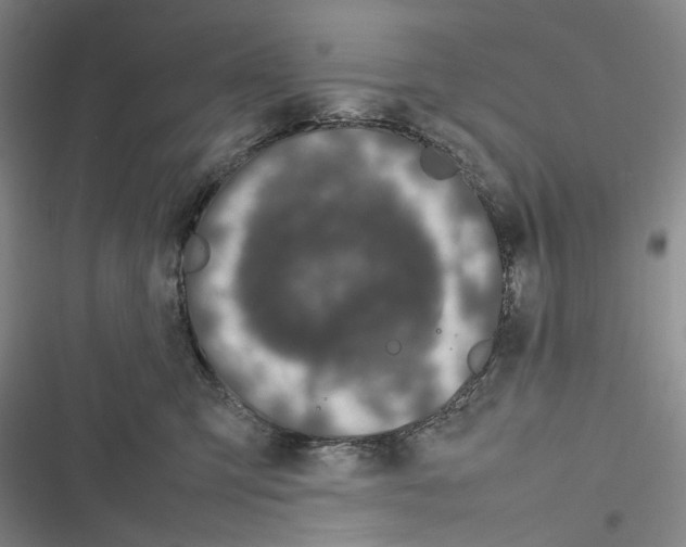X0000116880423201001121326