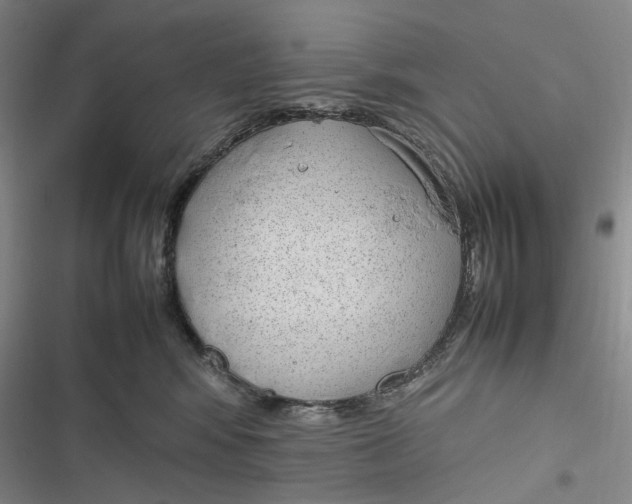 X0000116880424201001121326