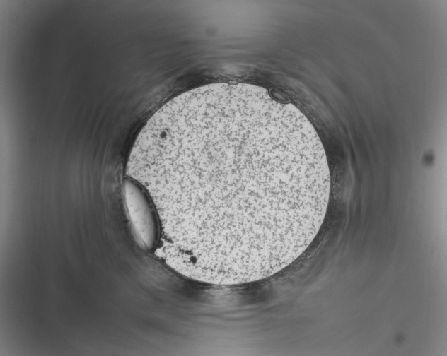X0000116880425201001121326