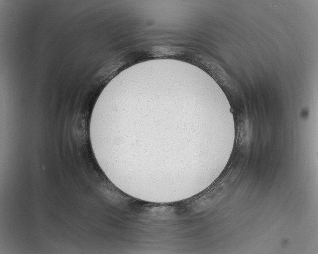 X0000116880426201001121326