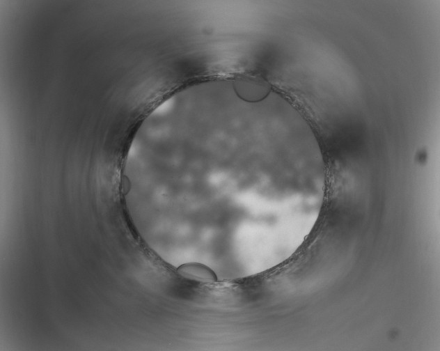 X0000116880427201001121326