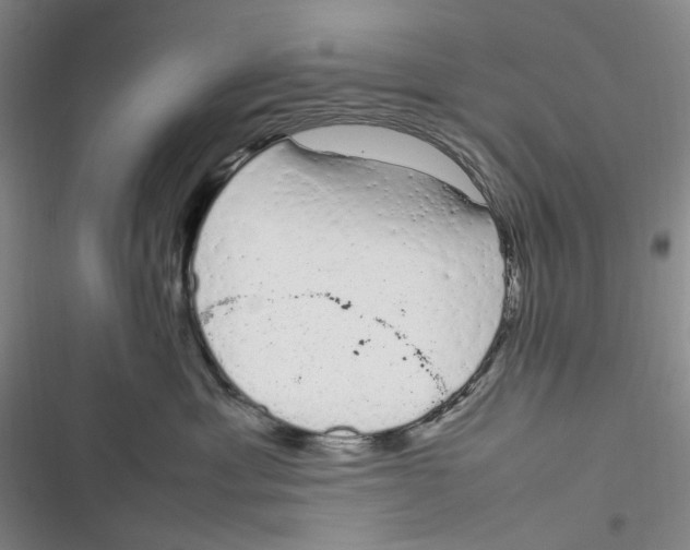 X0000116880429201001121326