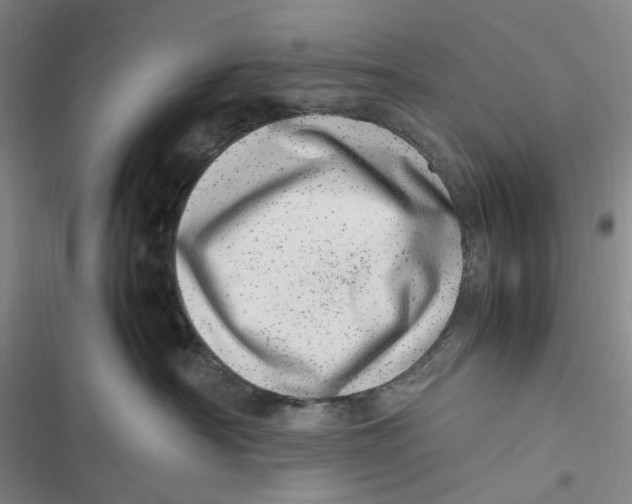 X0000116880430201001121326