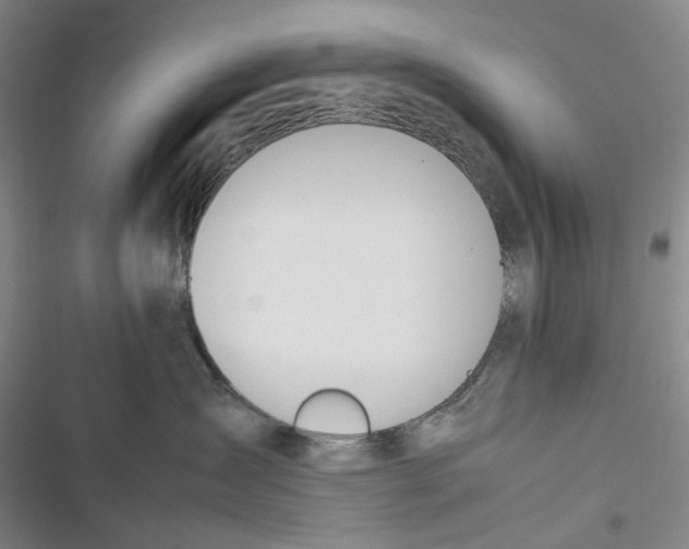 X0000116880431201001121326
