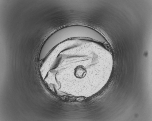 X0000116880433201001121326