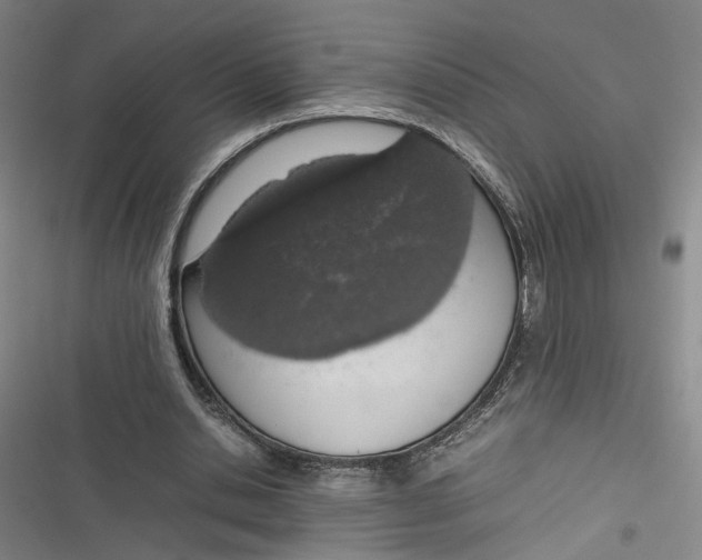 X0000116880438201001121326