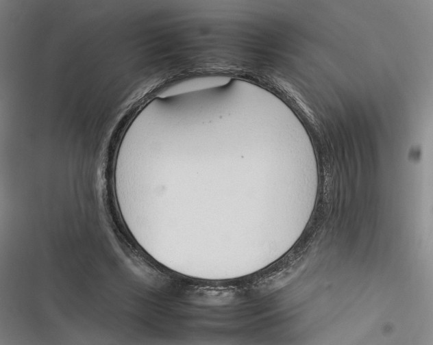 X0000116880443201001121326