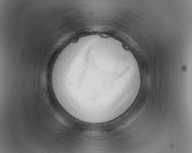X0000116880444201001121326