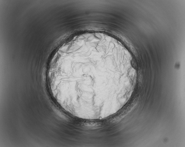 X0000116880445201001121326