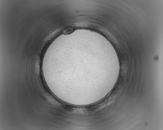 X0000116880446201001121326