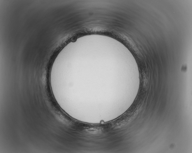 X0000116880447201001121326