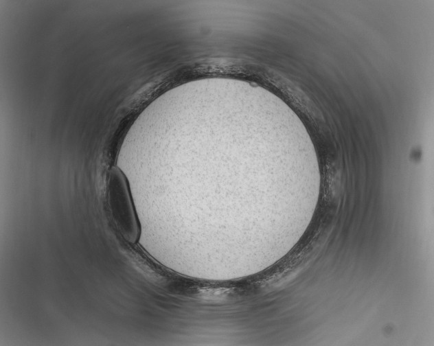 X0000116880450201001121326