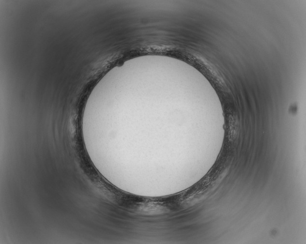 X0000116880451201001121326