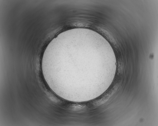 X0000116880453201001121326