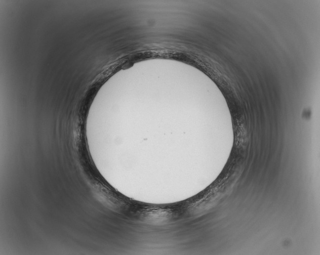 X0000116880456201001121326