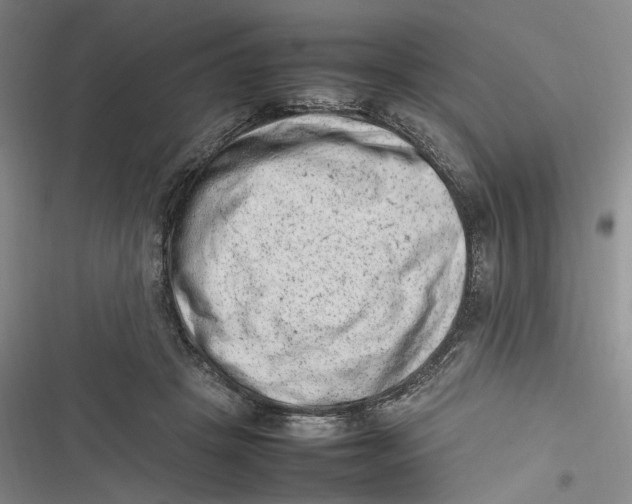 X0000116880457201001121326