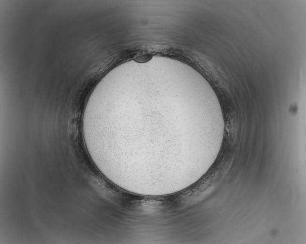 X0000116880462201001121326