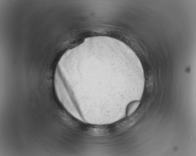 X0000116880466201001121326