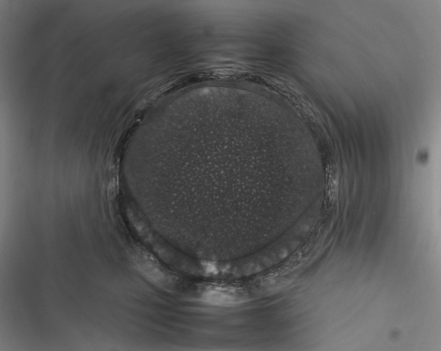X0000116880471201001121326