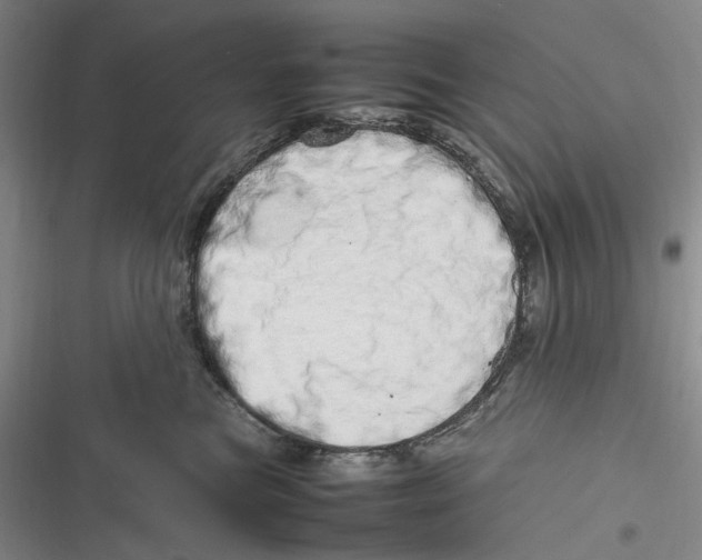 X0000116880473201001121326