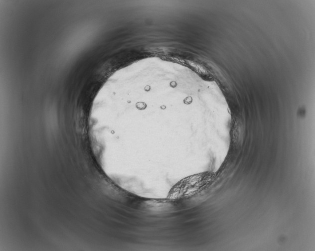 X0000116880477201001121326