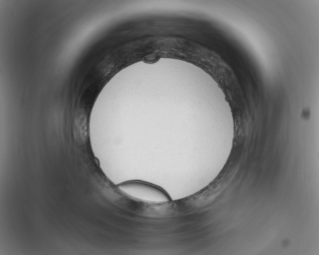 X0000116880479201001121326