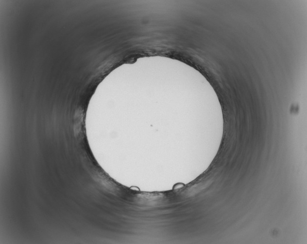 X0000116880480201001121326