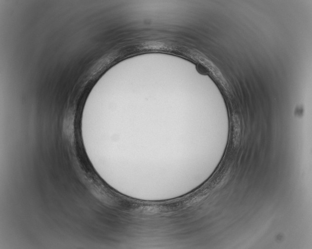 X0000116880482201001121326