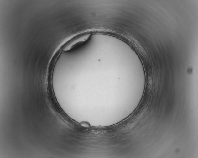 X0000116880484201001121326